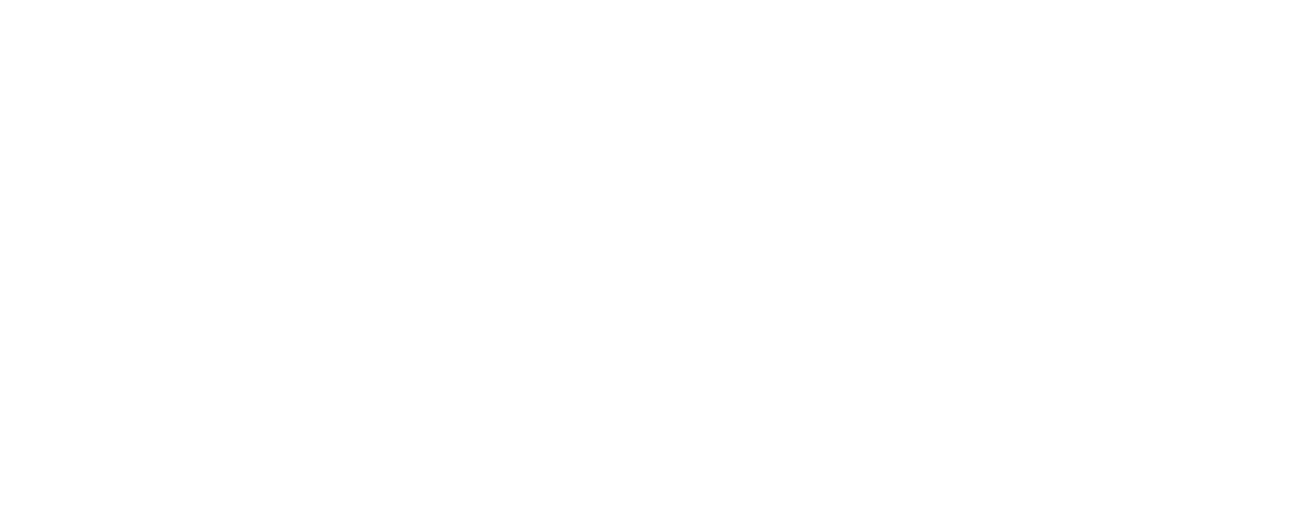 Hoox Logo